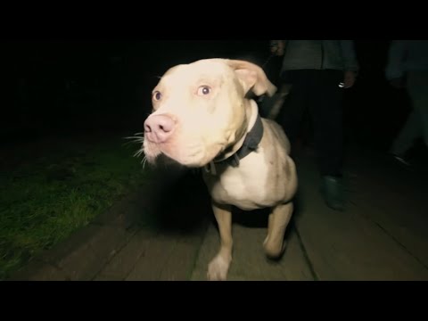 Hood Poet - From The Heart [Music Video]