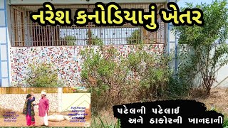 નરેશ કનોડિયા નું ખેતર Patel ni patelai Ane thakor ni khandani Vikram Thakor Ajay chavda Vlogs નરેશ કનોડિયા નું ખેતર Patel ni patelai Ane thakor ni khandani Vikram Thakor Ajay chavda Vlogs