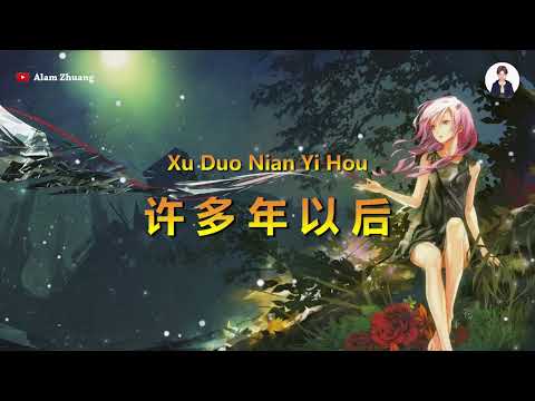 Xu Duo Nian Yi Hou ( 许多年以后 ) - Karaoke Male