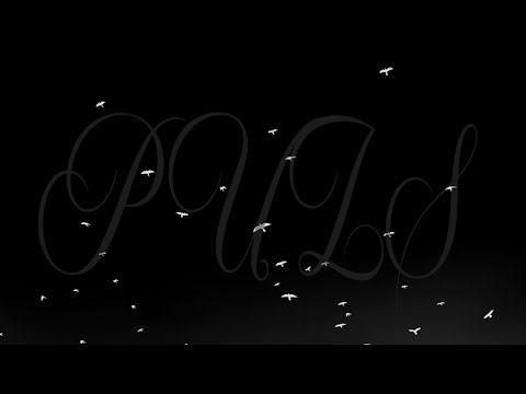 Mobezzy & wilson100k  - "PULS" (OFFICIAL VIDEO)