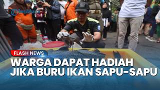 Warga Diberi Iming-iming Uang Tunai oleh Ketua RW Kelapa Gading Jika Berhasil Tangkap Ikan Sapu-Sapu