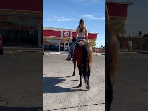 10/10 recommend #horseriding #westernstyle #mule #sisters #slushie #baymare