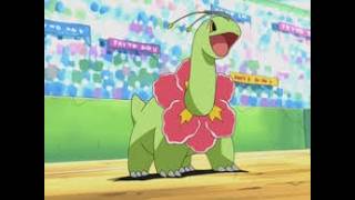 【Pokémon Champions】　19いったらダイパリメイクやる縦型配信