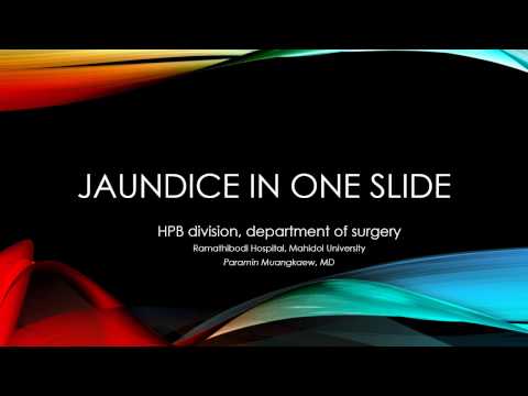 Approach to jaundice for medical student (Thai) (Mar 4, 2017) | ภาควิชาศัลยศาสตร์ คณะแพทยศาสตร์โรงพยาบาลรามาธิบดี มหาวิทยาลัยมหิดล