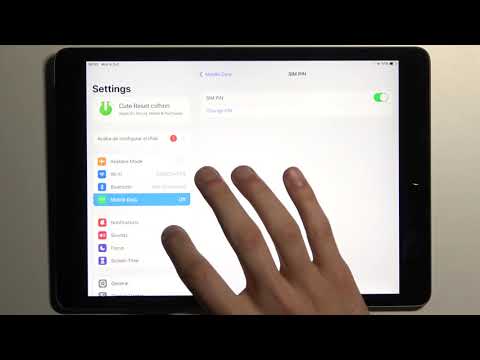 How to Check Device Model on iPad 2021 - iOS Device's Details