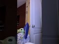 Que miedo 🥲🕷️ #humor #funny #comedia #babyyoda #arañas #spiders #scary #aracnofobia