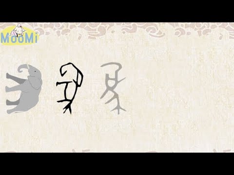 象 字