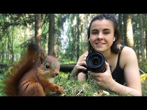 This Wildlife Photographer Helping Rescue Orphaned Baby Red Squirrels Is The Most Wholesome Thing You'll Watch Today