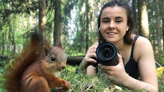 I rescued four baby red squirrels  [The Squirrels & Me]