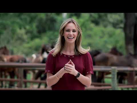 PGM 580 COMPLETO - 15/11/2020