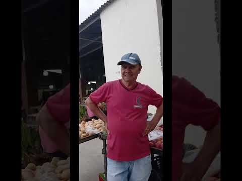 MATO VERDE MG