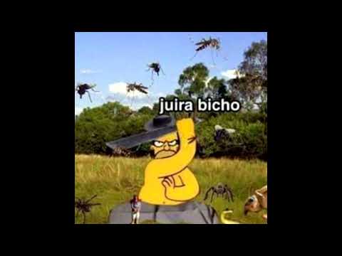 JUIRA BICHO [original]