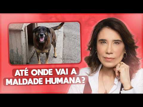 Crueldade Animal: A Morte Trágica de Orelha e a Luta por Justiça | ANA BEATRIZ