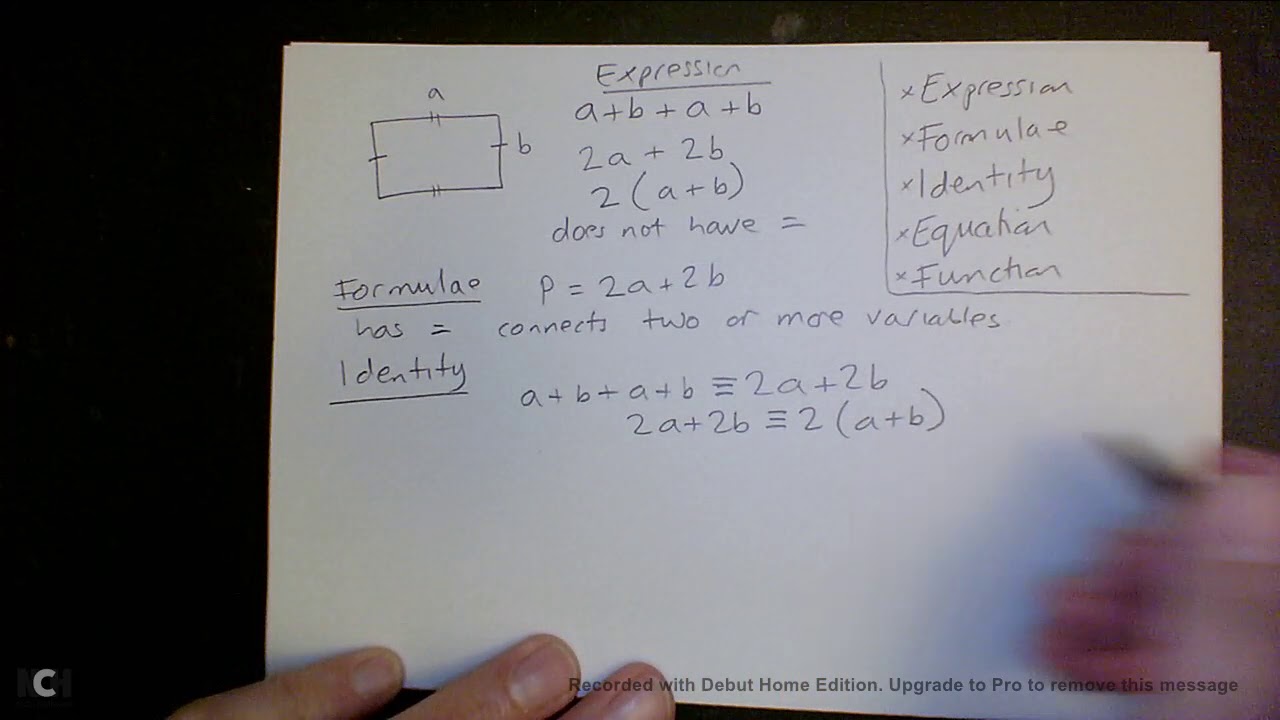 Difference between expression, formulae, identity, equation and function