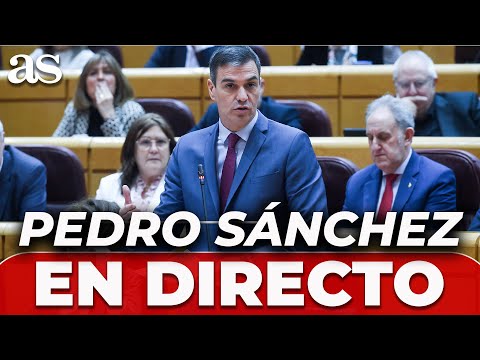 PEDRO SÁNCHEZ, EN VIVO: el PRESIDENTE del GOBIERNO comparece en el SENADO por el CASO KOLDO