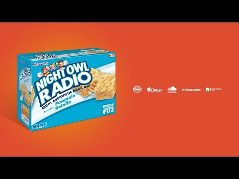 Night Owl Radio 173 ft. Audiotistic SoCal 2018 Mega-Mix