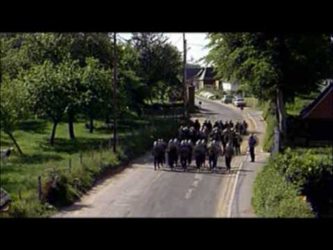 BA Le Chêne d'Allouville Recut