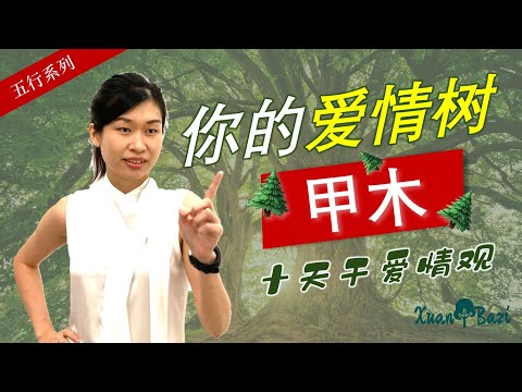 甲木男愛情
