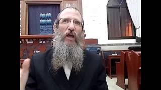 הרב ברוך וילהלם - פרשת שלח