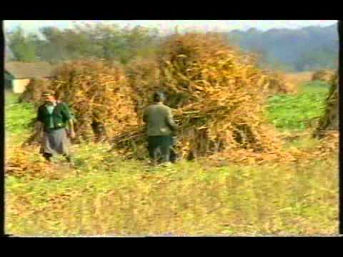 Slavonci smo i Hrvati pravi