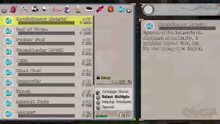 500 Yt Sub Subathon day 149 playing Touhou Genso Wanderer Reloaded