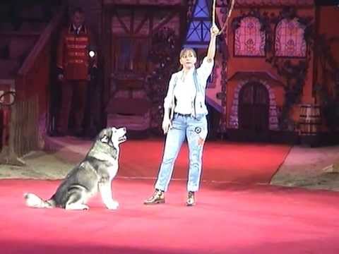 Rosi Hochegger Dancing Dogs