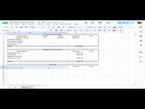 How to create a paycheck stub