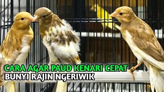 Download lagu How to Make Early Childhood Education Children Quickly Become Diligent and Chirpy mp3 Download lagu How to Make Early Childhood Education Children Quickly Become Diligent and Chirpy mp3
