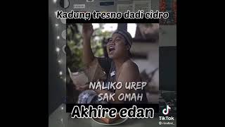 Download lagu Story WA lucu 30 detik||Agus kotak||Akhire edan😂 mp3