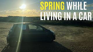 Winter gives way to spring