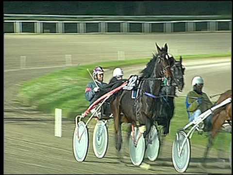 Trotto 20/11/2016 - 5ª corsa