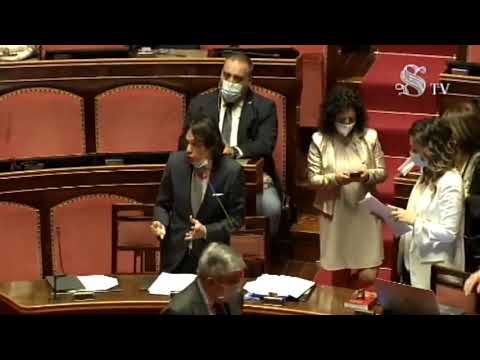 Gianluca Perilli (M5S) - Intervento aula Senato (10.06.20)