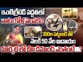 300s Investment Integrated Poultry Farming With An Investment Of 300 Avani Rythanna Nestam