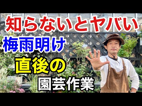 屋外の鉢やプランターの湿度を保つ方法 2022年夏