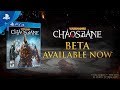Warhammer: Chaosbane - Beta Launch Trailer | PS4