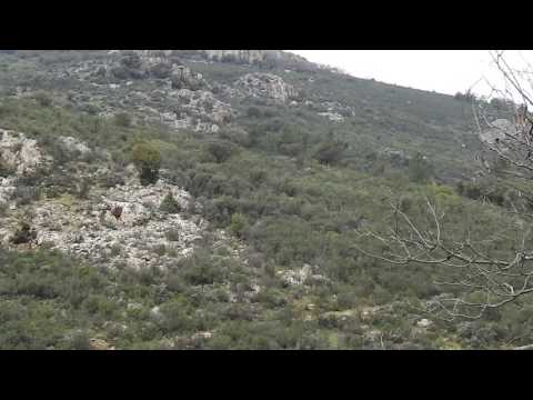 Monteria PuertoLlano part 4