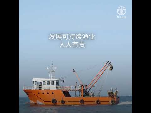 非法、不报告和不管制 (IUU) 捕鱼和港口国措施协定(PSMA)