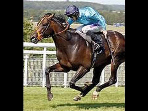 2013 Goodwood Cup _ Set To Music _ UK