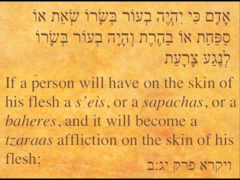Parshat Tazria