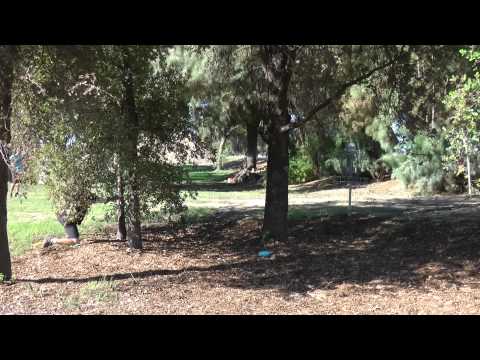 falling putt?