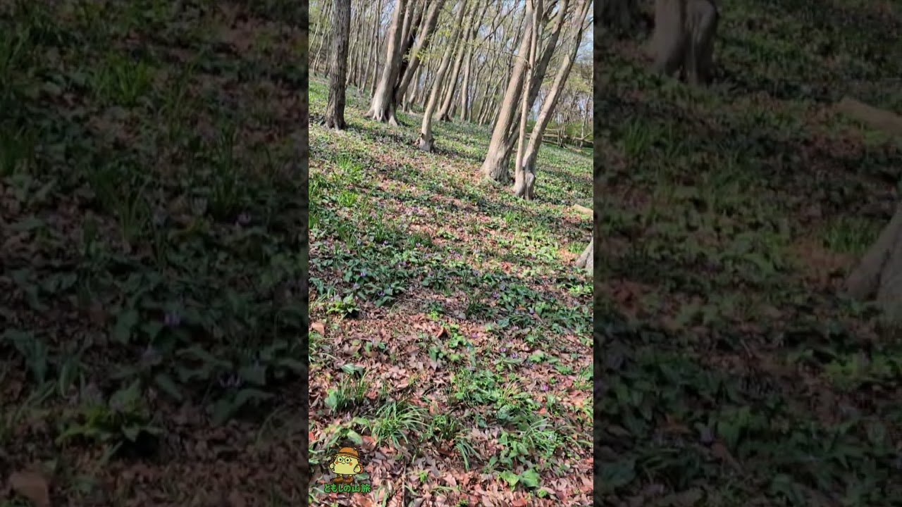 三毳山ショート #ともしの山旅 #三毳山