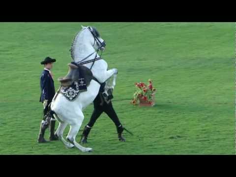 How The Andalusian Horses Dance  Show- at ADEC 10 FEB 2011.avi