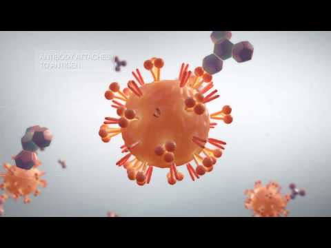 Influenza Virus – Animation