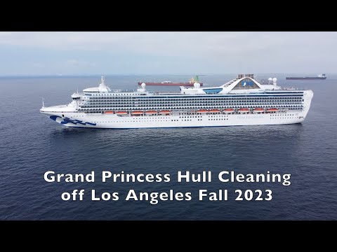 Thumbnail for The Grand Princess at Anchor off Los Angeles