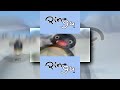 YTPMV Pingu 2004 Intro Scan V3 Reupload