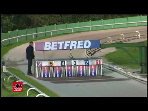 The BGBF/Nottingham British Breeders Stakes - Ht 5 - King Turbo