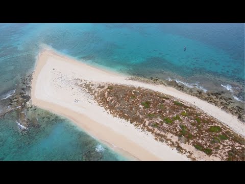 REMOTE WEST AUSTRALIAN PARADISE - Unbelievable Fishing!