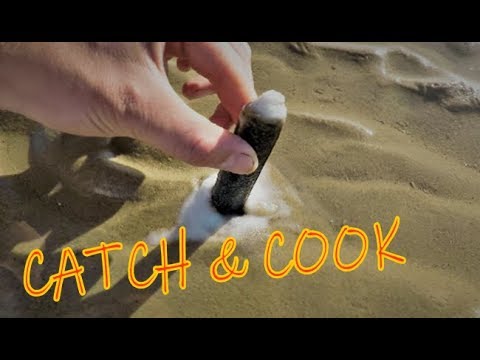 How to catch RAZOR CLAMS - Coastal Sea Foraging - Catch & Cook - Dorset Fishing - Low Tide Foraging