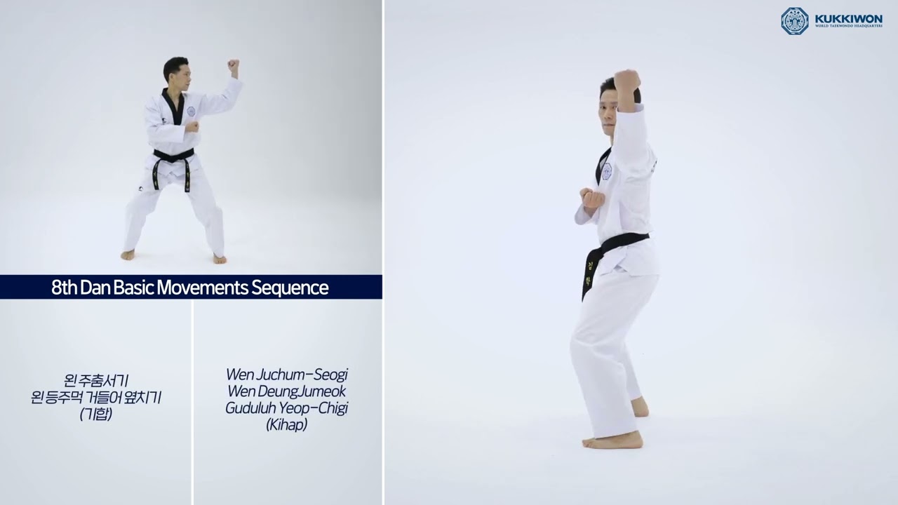Sign in 8th Dan Basic Movements Sequence