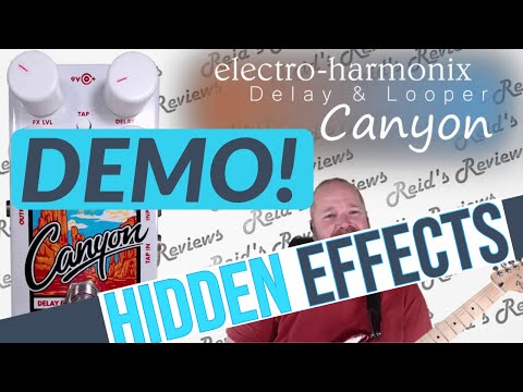 DEMO - Hidden Features - Electro-Harmonix Canyon Delay & Looper Guitar Pedal Review, Reid's Reviews